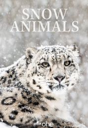 Snow Animals