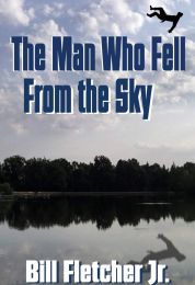 The Man Who Fell From The Sky