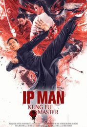 show Ip Man: Kung Fu Master