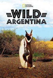 الأرجنتين البرية