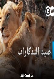 صيد التذكارات