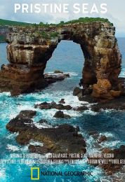 البحور الصافية قوة الحماية