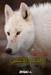 مملكة الذئب الأبيض