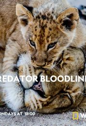 السلالات المفترسة