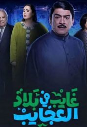 غايب في بلاد العجايب