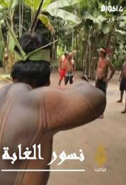 نسور الغابة