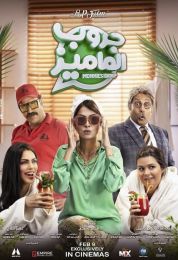 show جروب الماميز