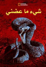 شيء ما عضني