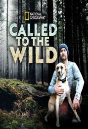 نداء البرية الموسم الاول