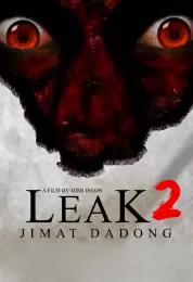Leak 2