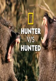 الصياد والفريسة