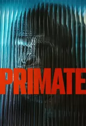 Primate