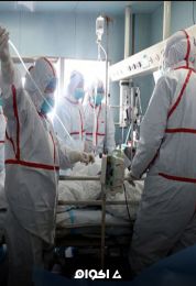 تشريح كورونا