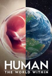 Human: The World Within