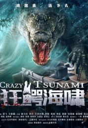 show Crazy Tsunami