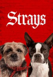 show Strays