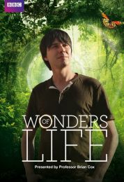 Wonders of Life