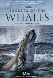 Secrets of the Whales