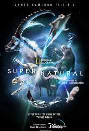 Super/Natural الموسم الاول