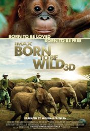 show Born to Be Wild