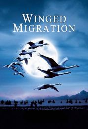 Winged Migration