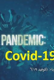 Pandemic Covid-19