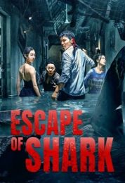 show Escape of Shark