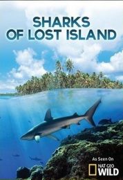 Sharks of Lost Island
