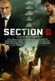 Section 8