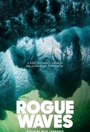 Rogue Waves
