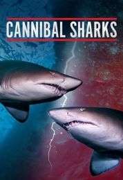 أسماك القرش أكلة اللحوم