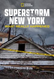 Superstorm New York: What Really Happened