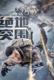 show Strike Back