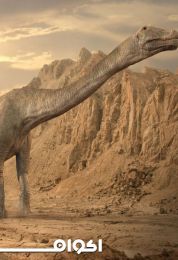 ديناصور باتاغونيا