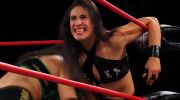 ROH.Wrestling 2026 02 12 مترجم