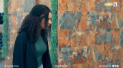جوز ولوز undefined
