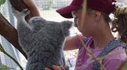 Izzys Koala World undefined