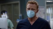 Grey's Anatomy الموسم السابع عشر undefined