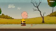 Who Are You Charlie Brown