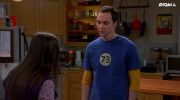 The Big Bang Theory الموسم الثامن undefined