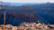 Into the Canyon