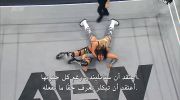 AEW Dynamite 29/1/2026 مترجم