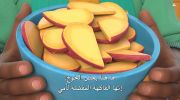 CoComelon: Unser Viertel الموسم الاول undefined