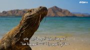 Planet Earth II الموسم الثاني undefined