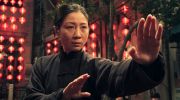 Ip Man 4: The Finale undefined