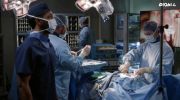 Grey's Anatomy الموسم الثامن عشر undefined