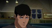 Young Justice الموسم الرابع undefined