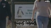 Penguin Town الموسم الاول undefined