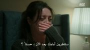الشجاع undefined