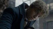 Fantastic Beasts and Where to Find Them undefined